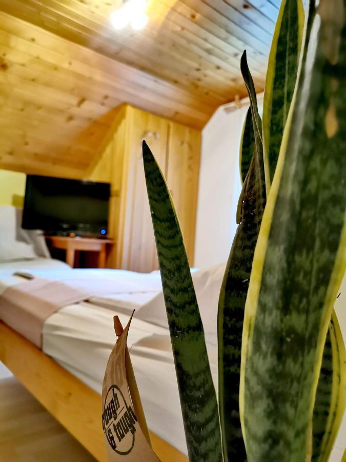 Hisa Erlah Hotel Bohinj Exterior foto